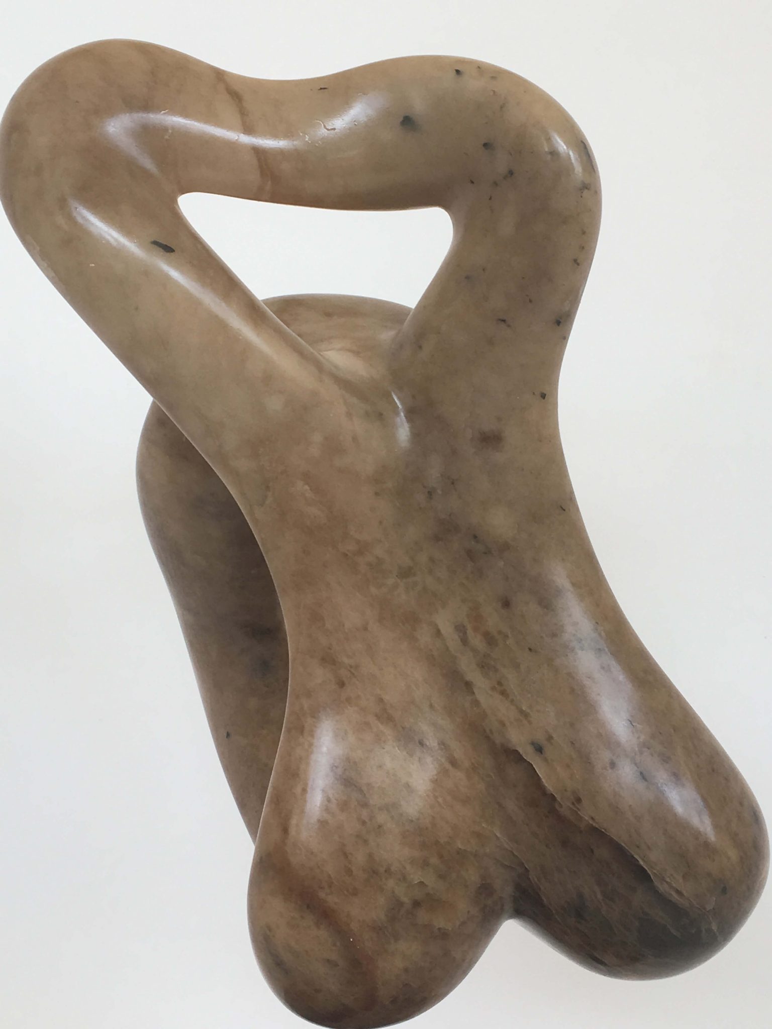female torso